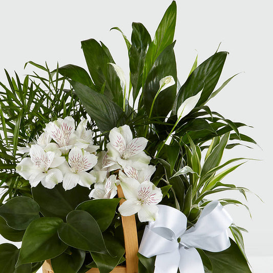 Peace & Serenity Dishgarden – Forever Flowers, Fords NJ
