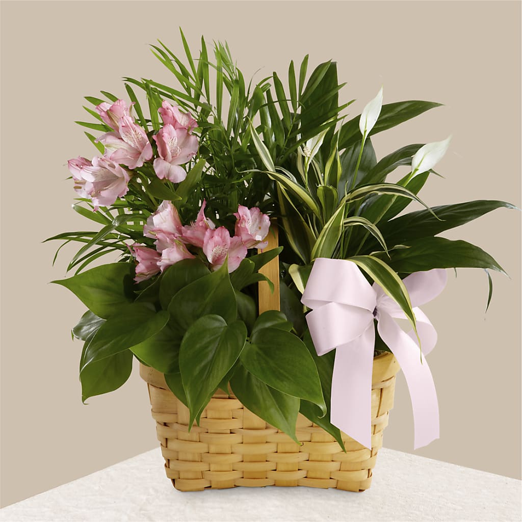 Living Spirit Dishgarden – Forever Flowers, Fords NJ