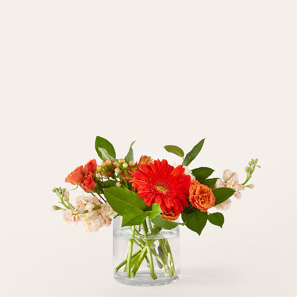Paloma Please Bouquet – Forever Flowers, Fords NJ