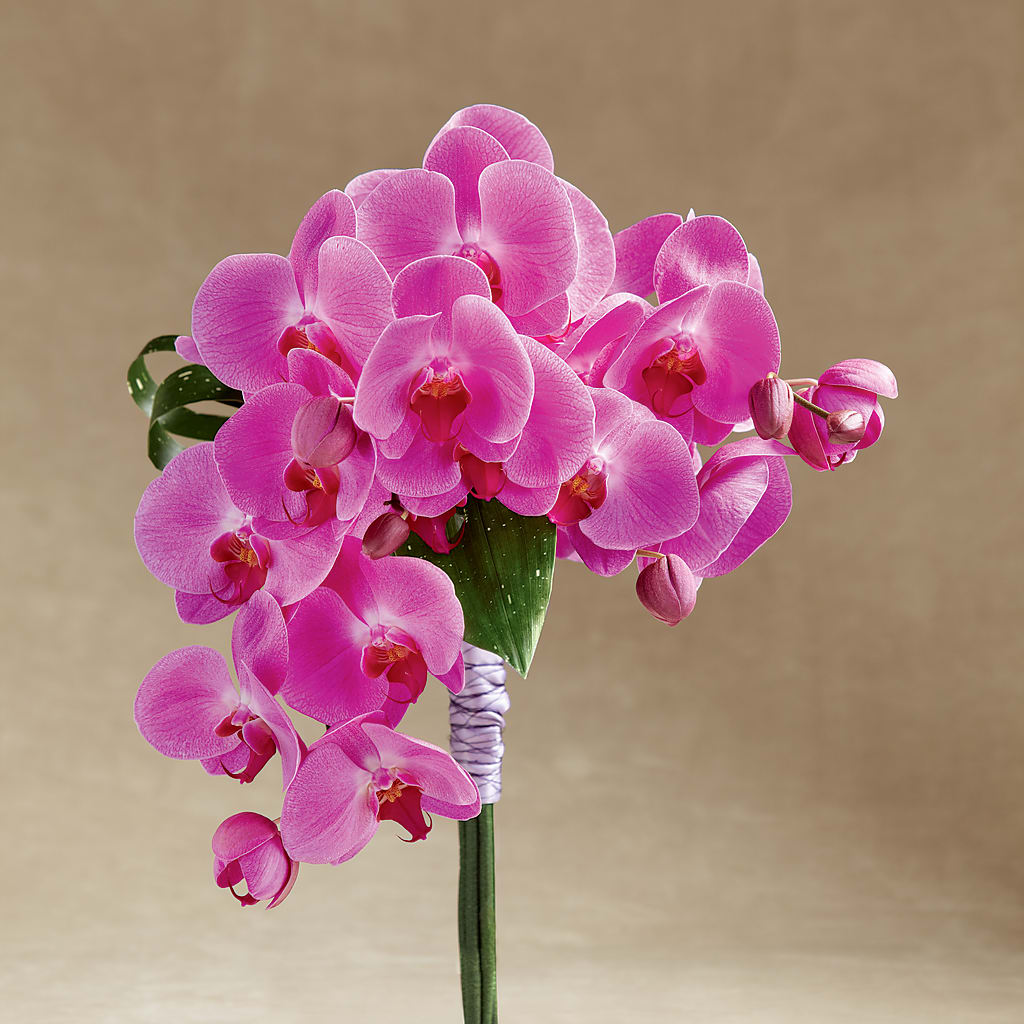 Glorious Bouquet – Forever Flowers, Fords NJ