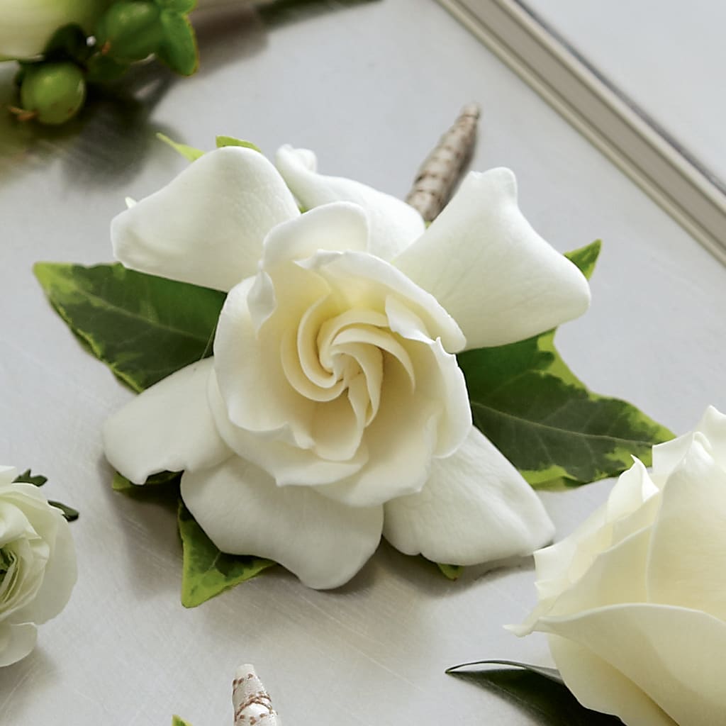 Gardenia Boutonniere – Forever Flowers, Fords NJ