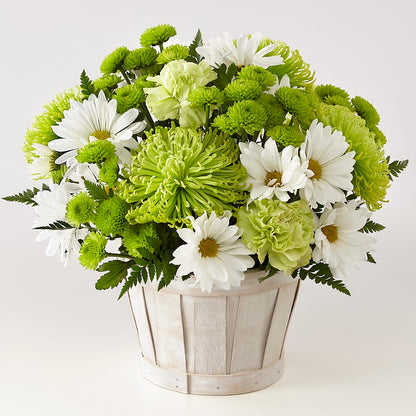 Lucky Charm Basket (Standard) –  Forever Flowers, Fords NJ
