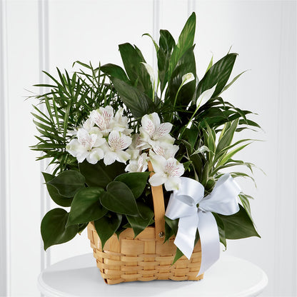 Peace & Serenity Dishgarden –  Forever Flowers, Fords NJ