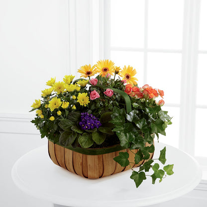 Gentle Blossoms Basket –  Forever Flowers, Fords NJ
