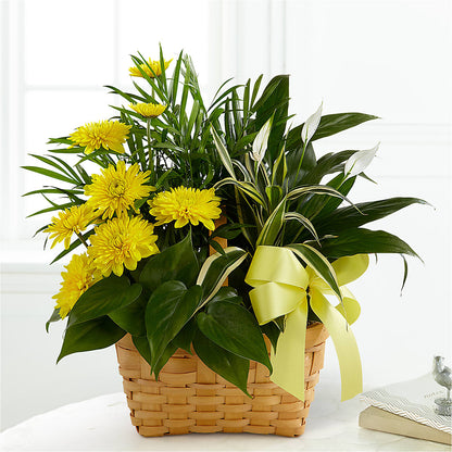 Loving Light Dishgarden –  Forever Flowers, Fords NJ