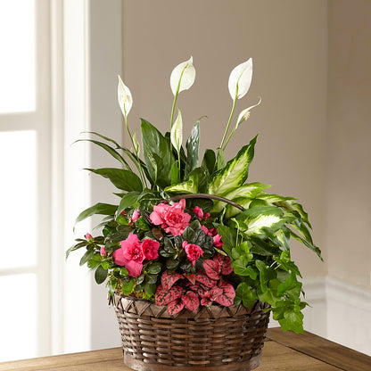 Dream in Pink Dishgarden –  Forever Flowers, Fords NJ