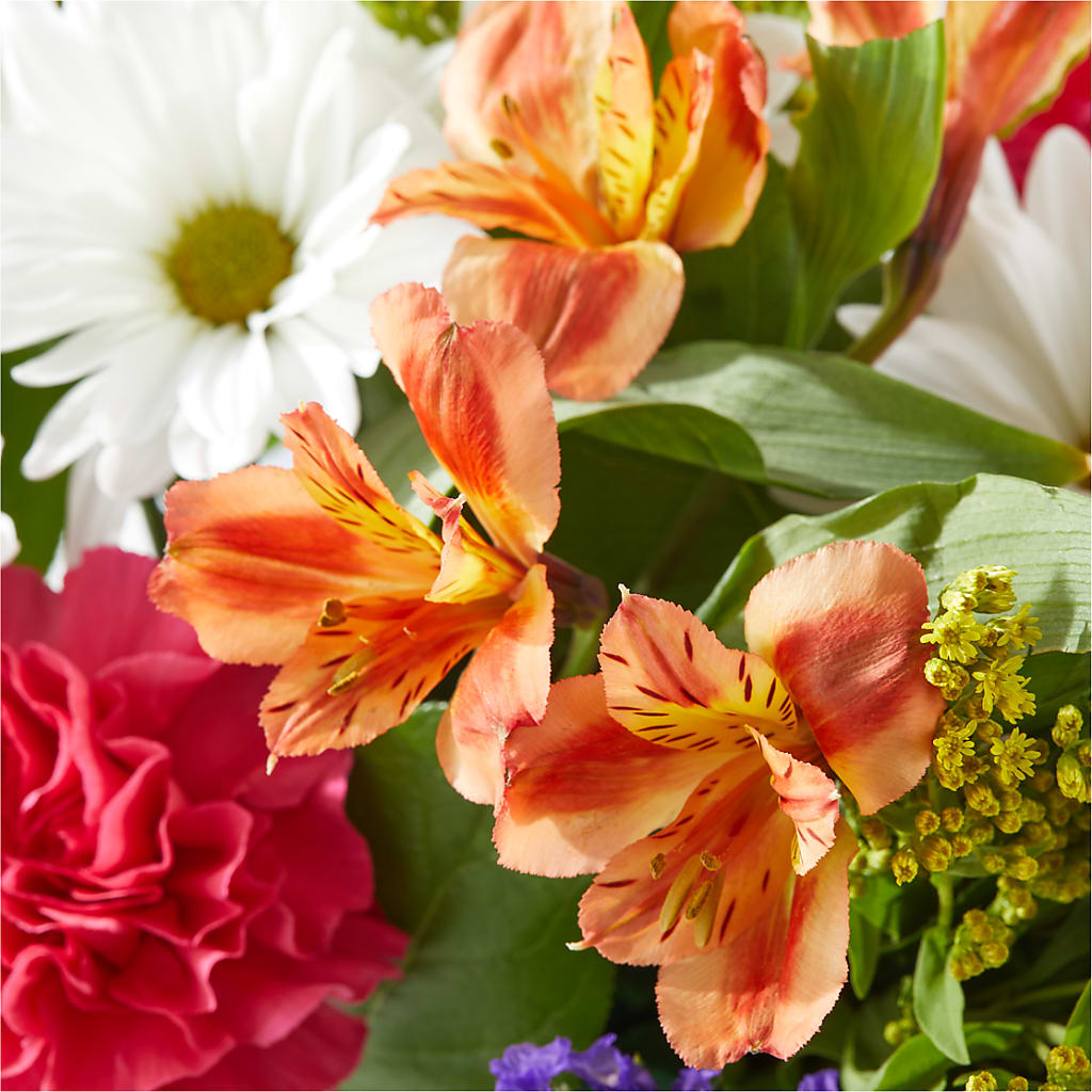 Oopsie Daisy Box Bouquet –  Forever Flowers, Fords NJ