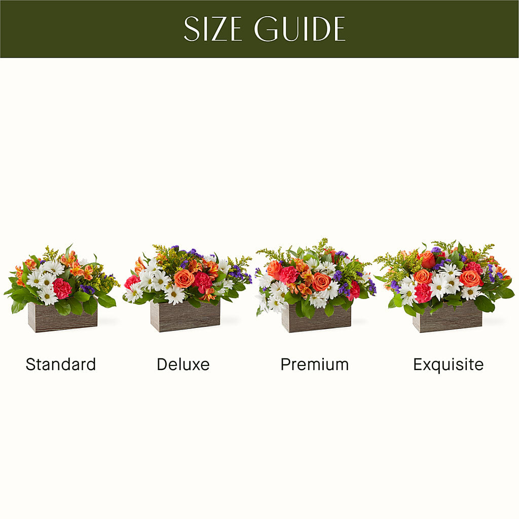 Oopsie Daisy Box Bouquet –  Forever Flowers, Fords NJ