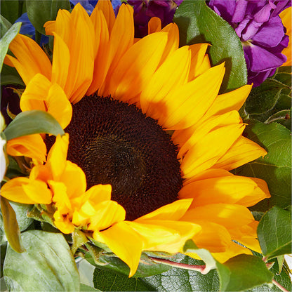Catching Rays Bouquet –  Forever Flowers, Fords NJ
