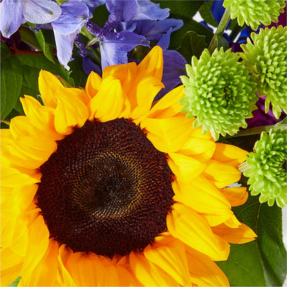Catching Rays Bouquet –  Forever Flowers, Fords NJ