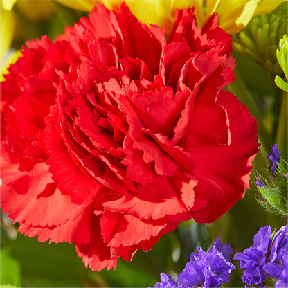 Brighter Days Bouquet –  Forever Flowers, Fords NJ
