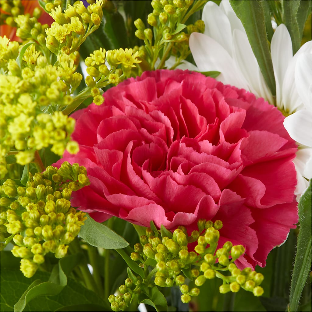 Oopsie Daisy Bouquet –  Forever Flowers, Fords NJ