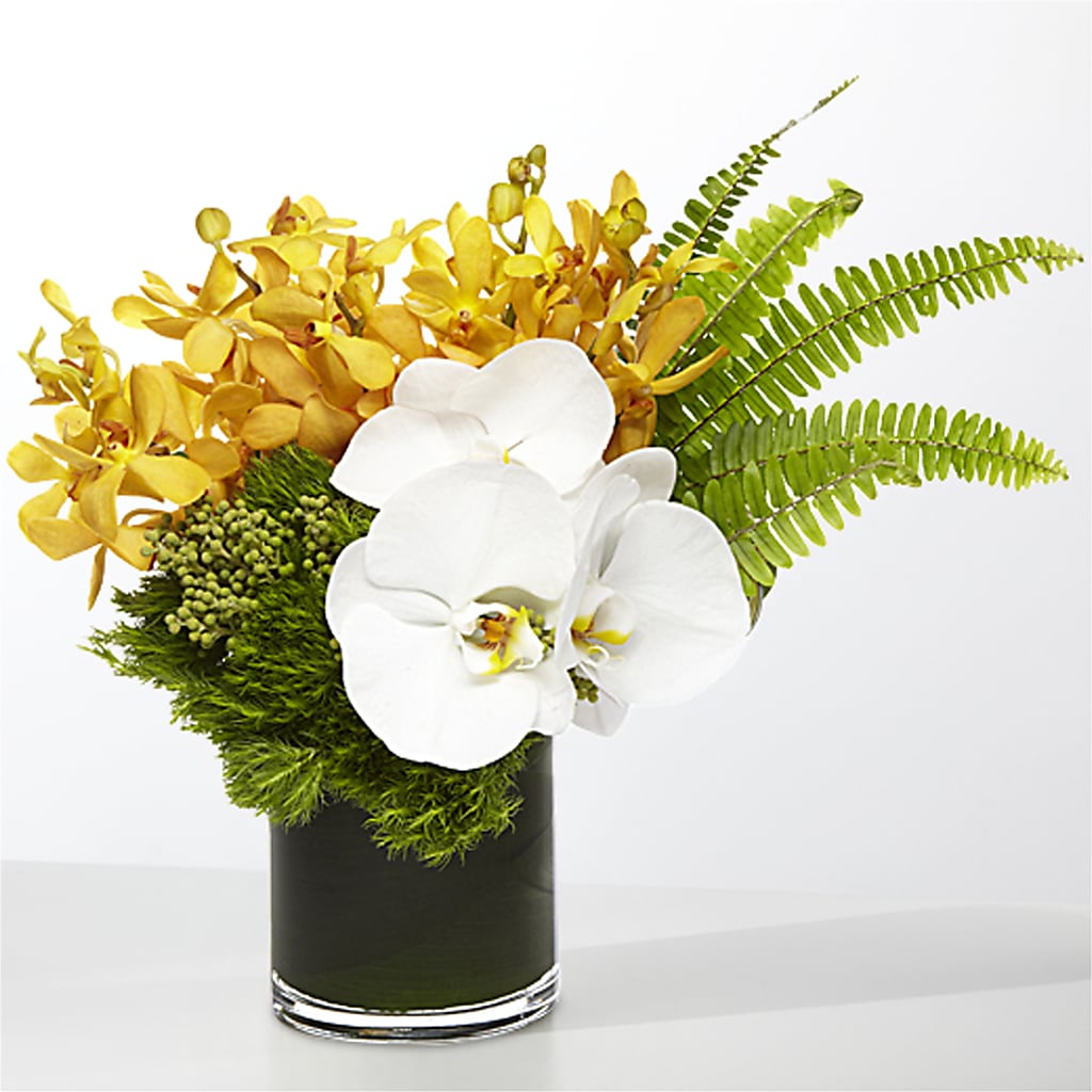 The Tropics –  Forever Flowers, Fords NJ