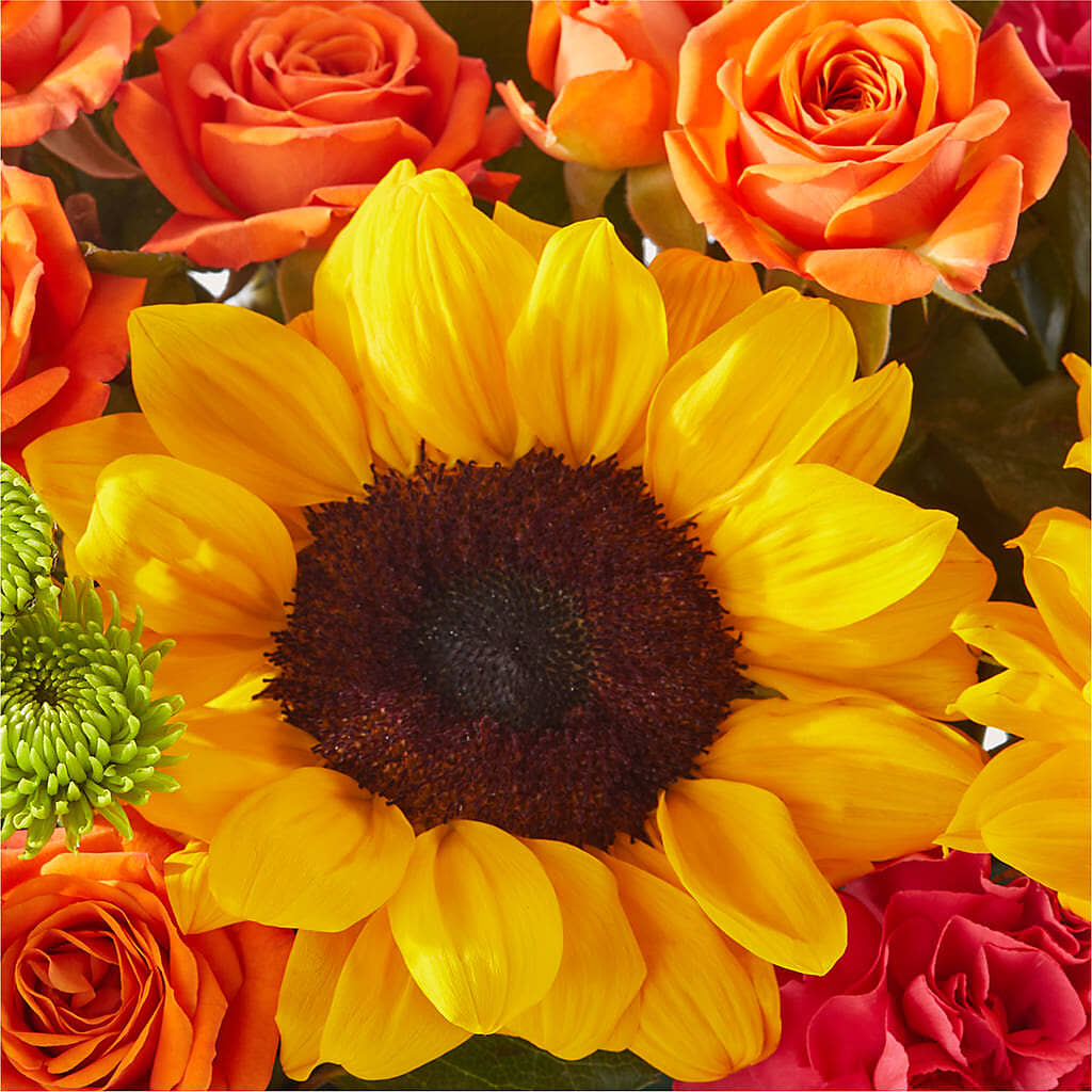 Sun-drenched Blooms Box Bouquet –  Forever Flowers, Fords NJ