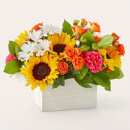 Sun-drenched Blooms Box Bouquet –  Forever Flowers, Fords NJ