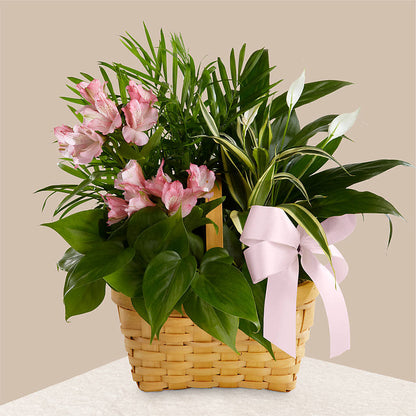 Living Spirit Dishgarden –  Forever Flowers, Fords NJ