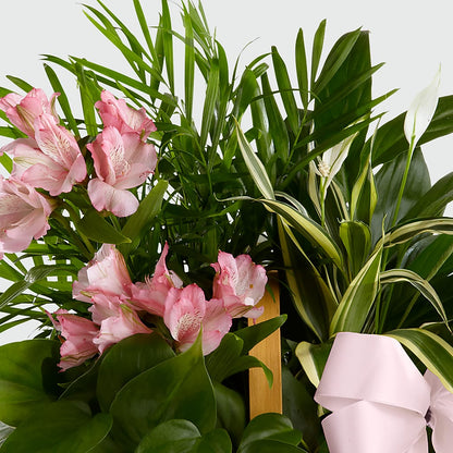 Living Spirit Dishgarden –  Forever Flowers, Fords NJ