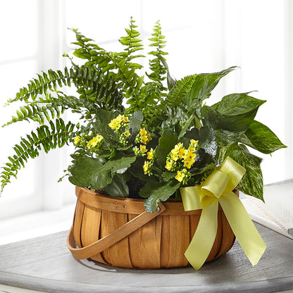 Always Dear Dishgarden –  Forever Flowers, Fords NJ