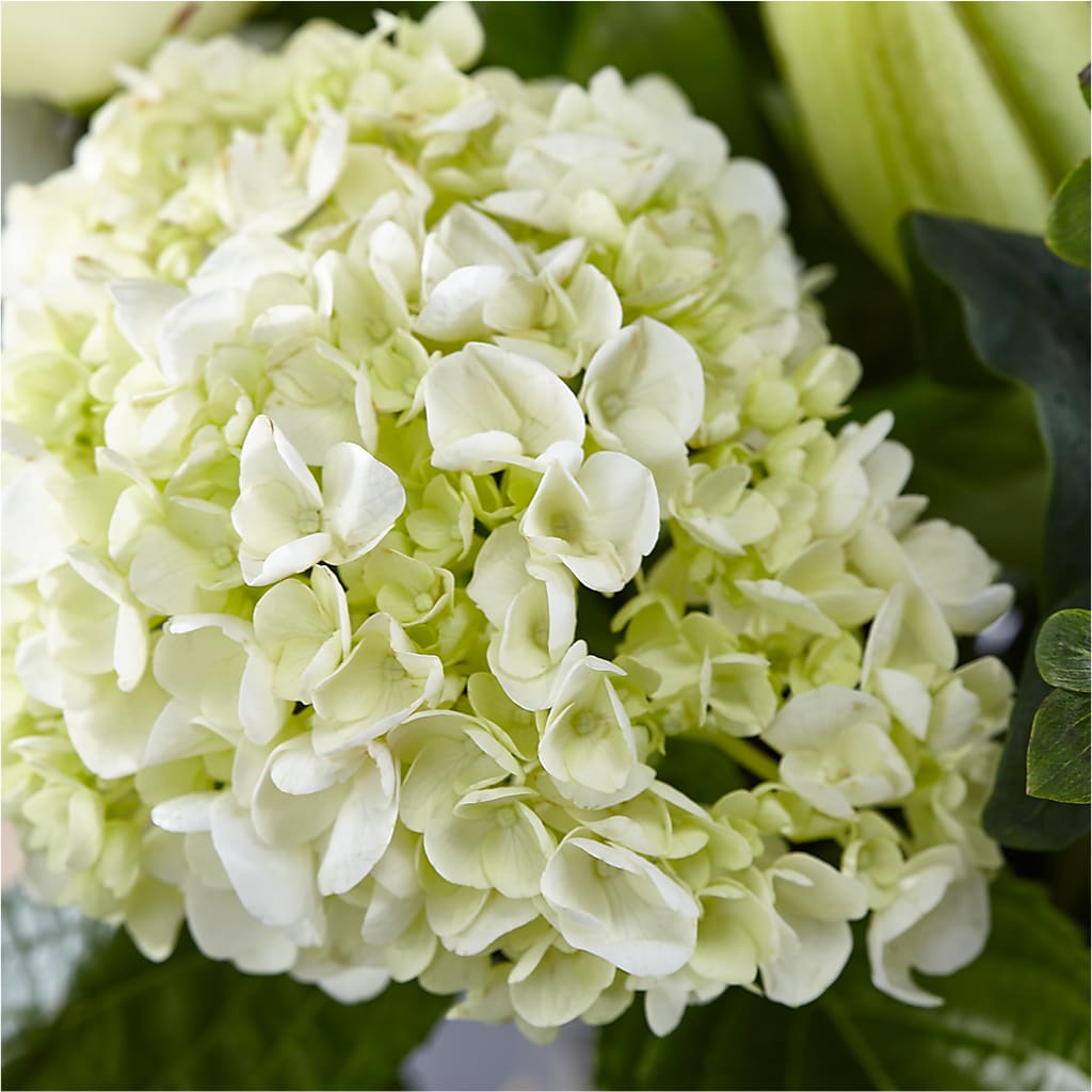 Classic Ivory – A Florist Original –  Forever Flowers, Fords NJ