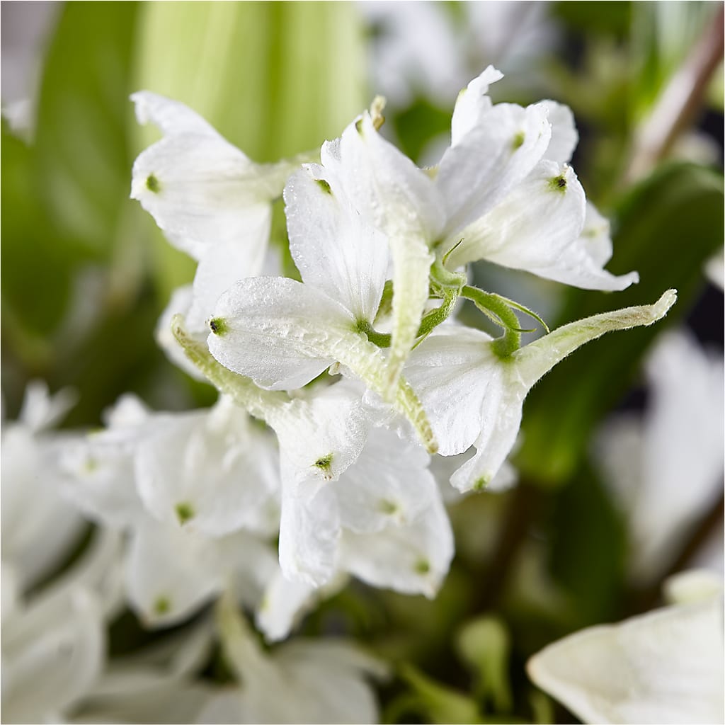 Classic Ivory – A Florist Original –  Forever Flowers, Fords NJ