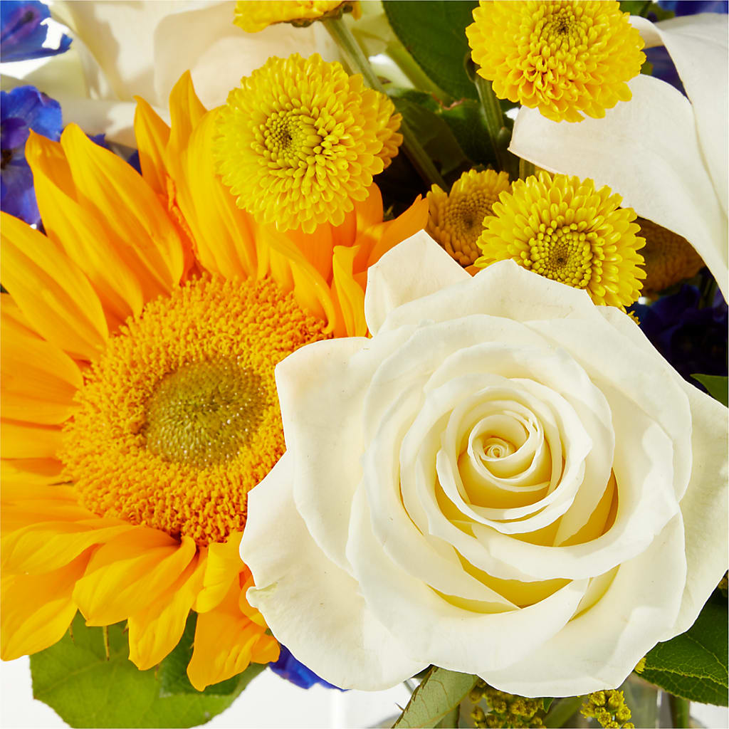Stargazing Bouquet –  Forever Flowers, Fords NJ