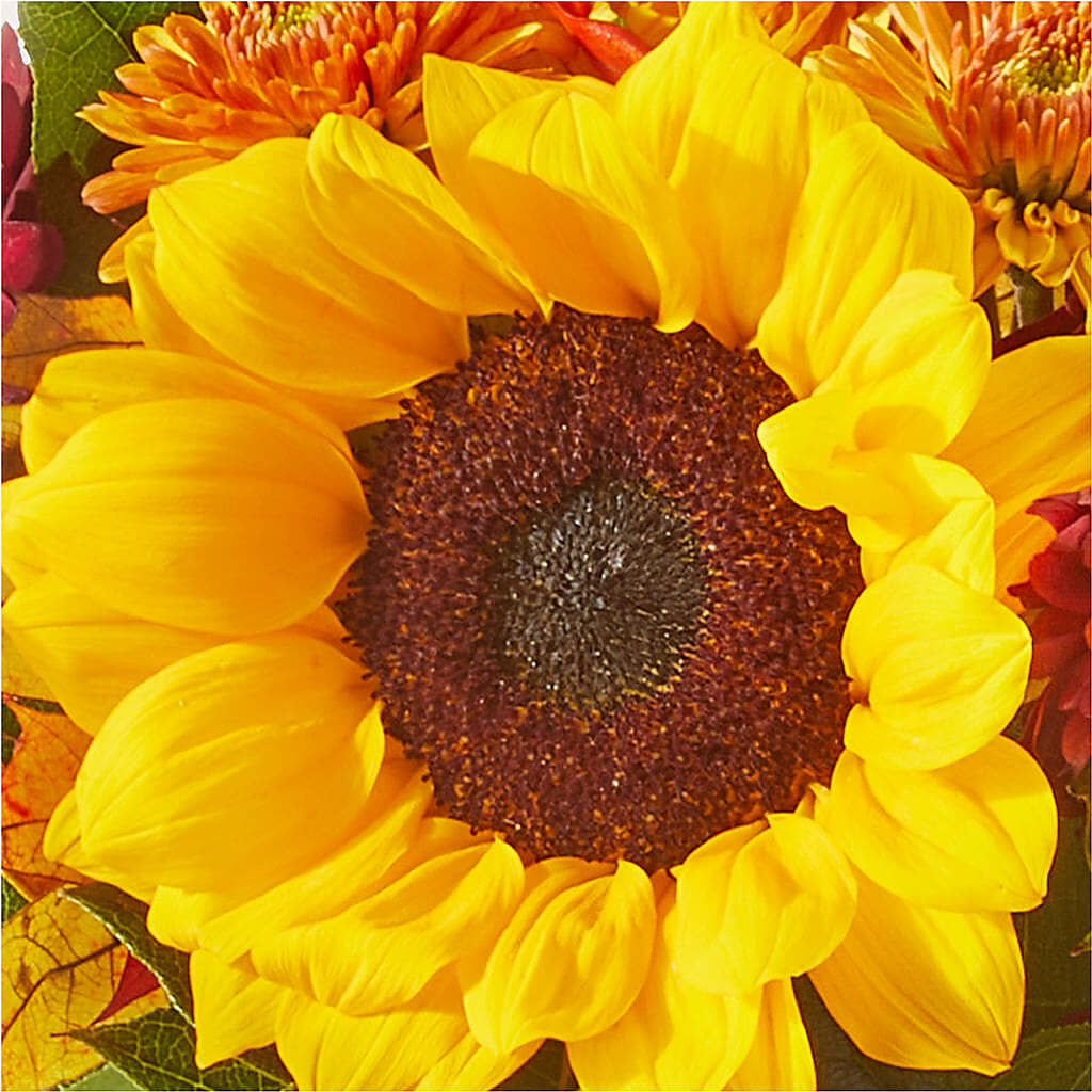 Sunny Side Bouquet –  Forever Flowers, Fords NJ