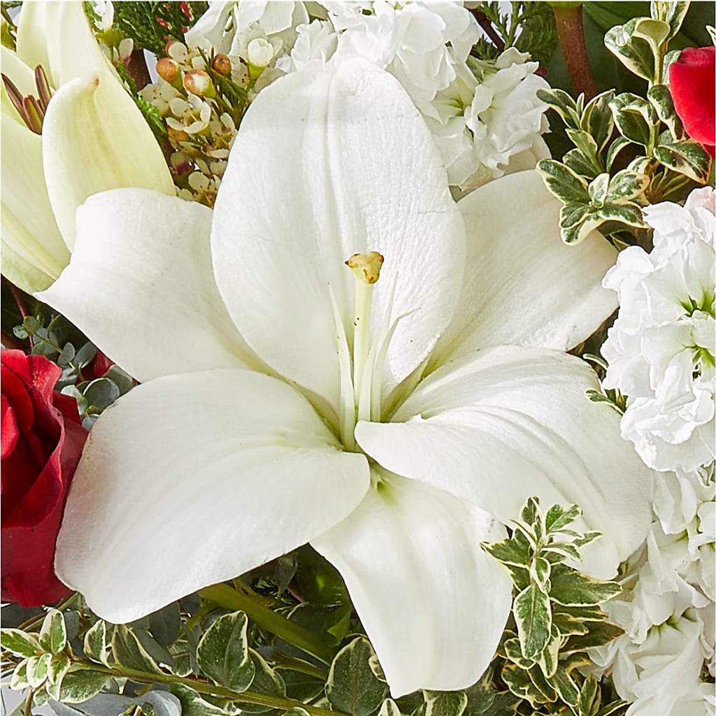 Twinkle Lights Bouquet –  Forever Flowers, Fords NJ