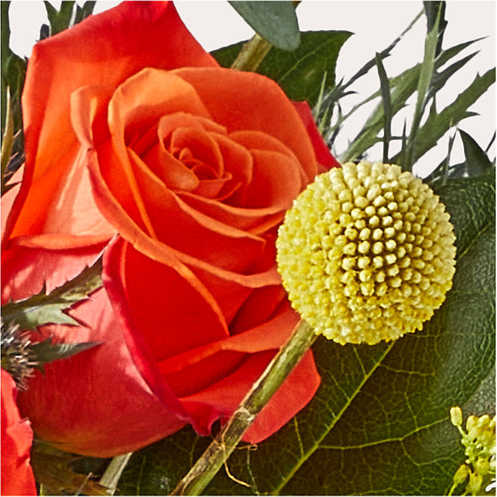 Disco Bouquet –  Forever Flowers, Fords NJ