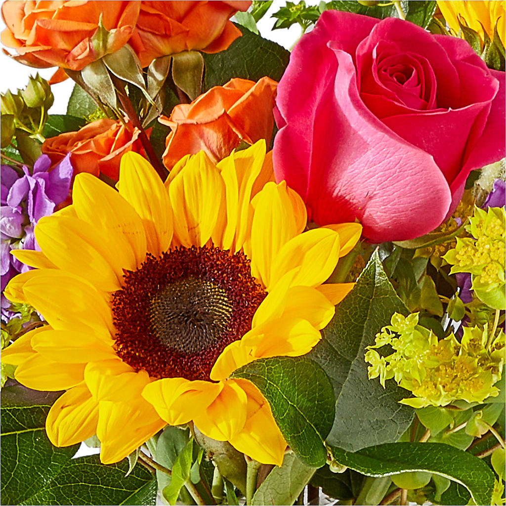Vibrant Greetings Bouquet –  Forever Flowers, Fords NJ
