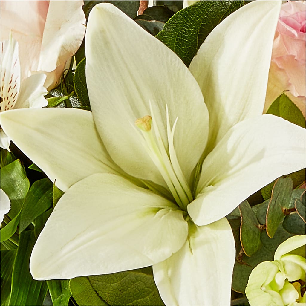 Ballet Slippers Bouquet –  Forever Flowers, Fords NJ