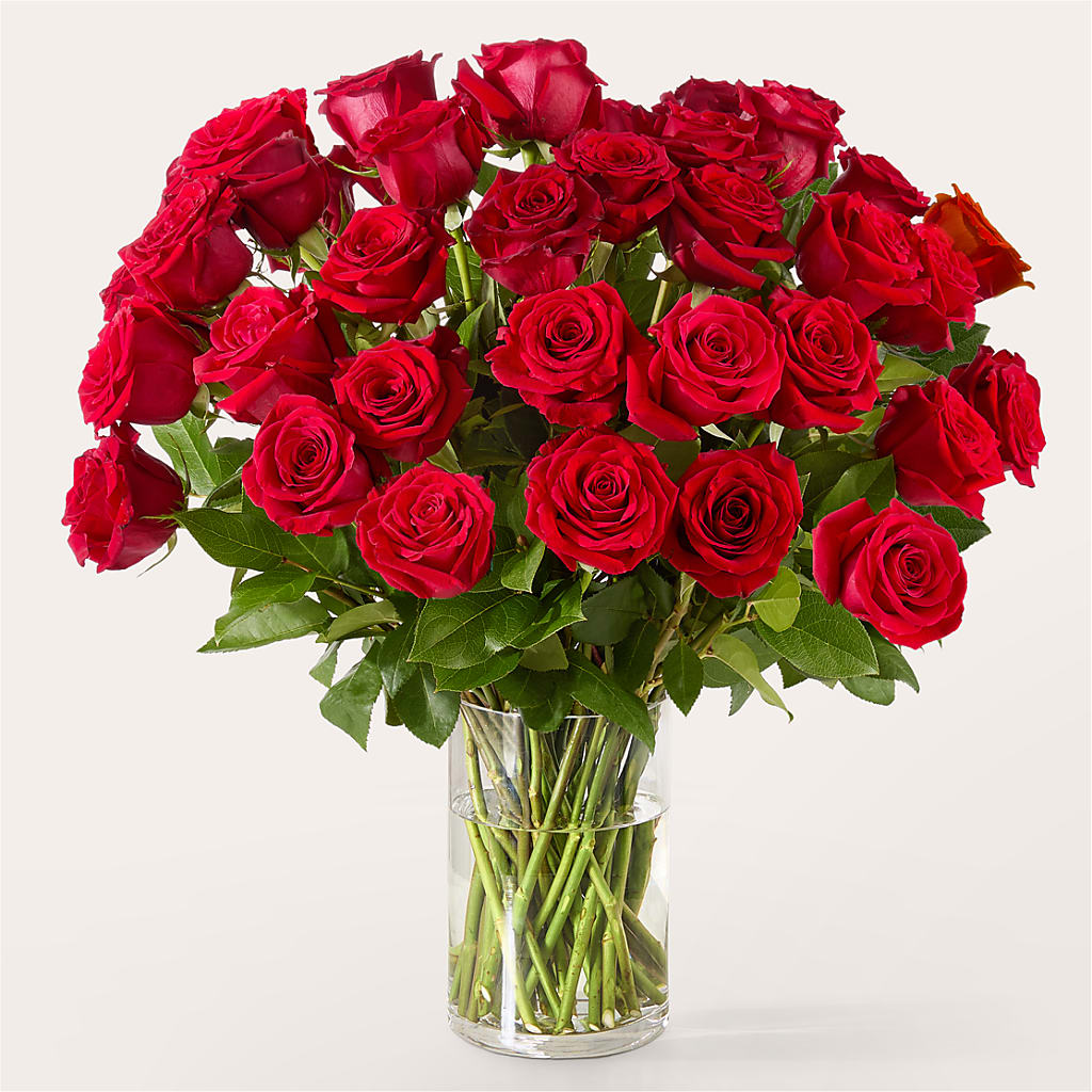 The One Red Rose Bouquet –  Forever Flowers, Fords NJ