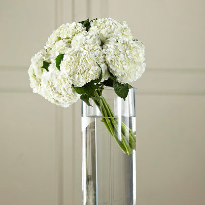 White Hydrangea Hand-Tied Bouquet –  Forever Flowers, Fords NJ